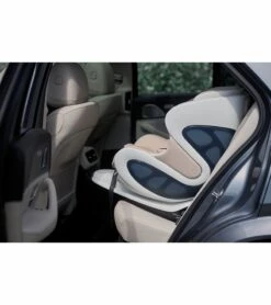 Babyark Convertible Car Seat - Eggshell / Midnight Blue -Graco Store babyark convertible car seat eggshell midnight blue 10